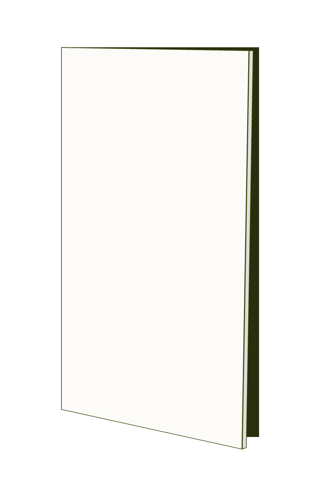 Door 30w x 63h Handle Free - Left Hinged