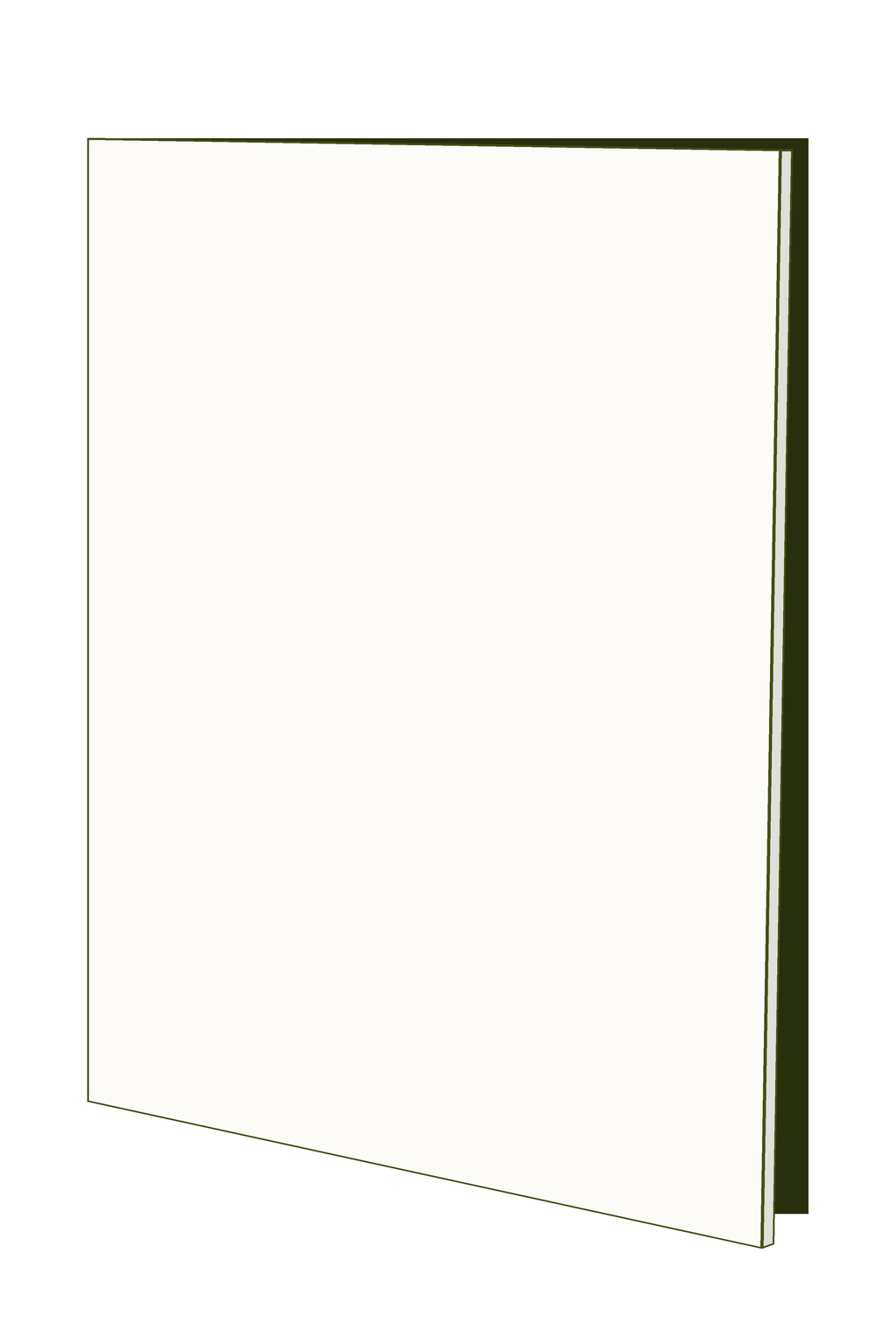 Door 40w x 63h Handle Free - Left Hinged